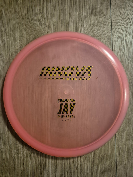 BEGAGNAD Innova Champion Jay.
